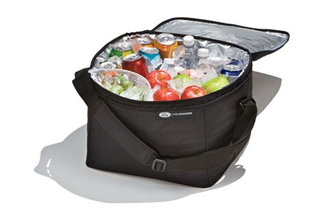 Discover Ford Bronco Accessories in PR, Cargo Organizer - Soft-Sided Cooler Bag W/Adjustable Carrying Strap, Ford Logo